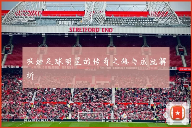 农姓足球明星的传奇之路与成就解析