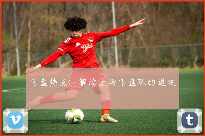 飞盘热点：解读上海飞盘队的进攻