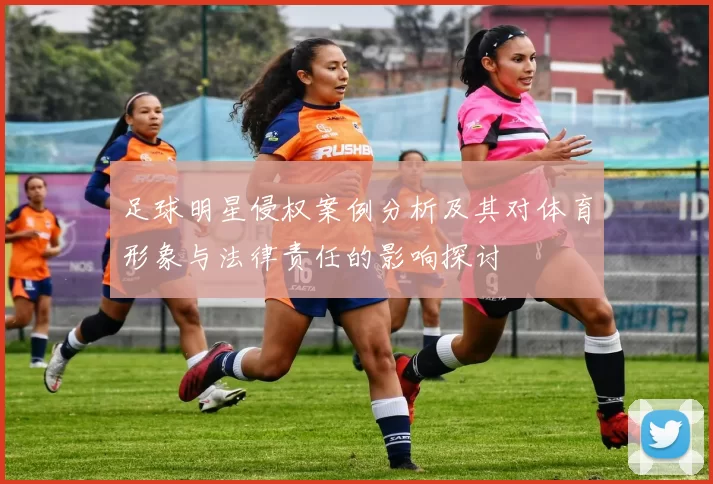 足球明星侵权案例分析及其对体育形象与法律责任的影响探讨