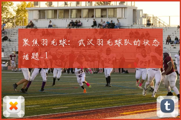 聚焦羽毛球：武汉羽毛球队的状态话题_1